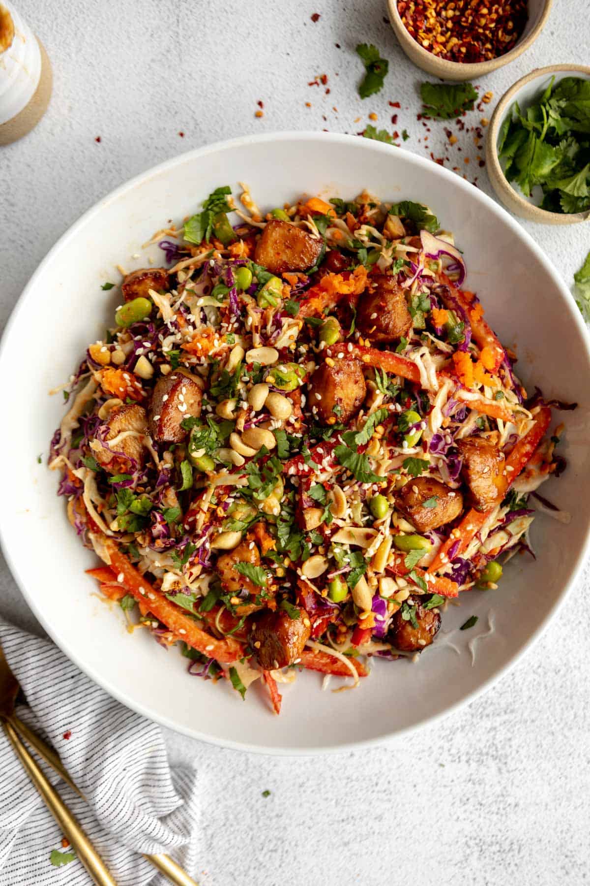 Asian Chicken Crunch Salad Recipe (1)