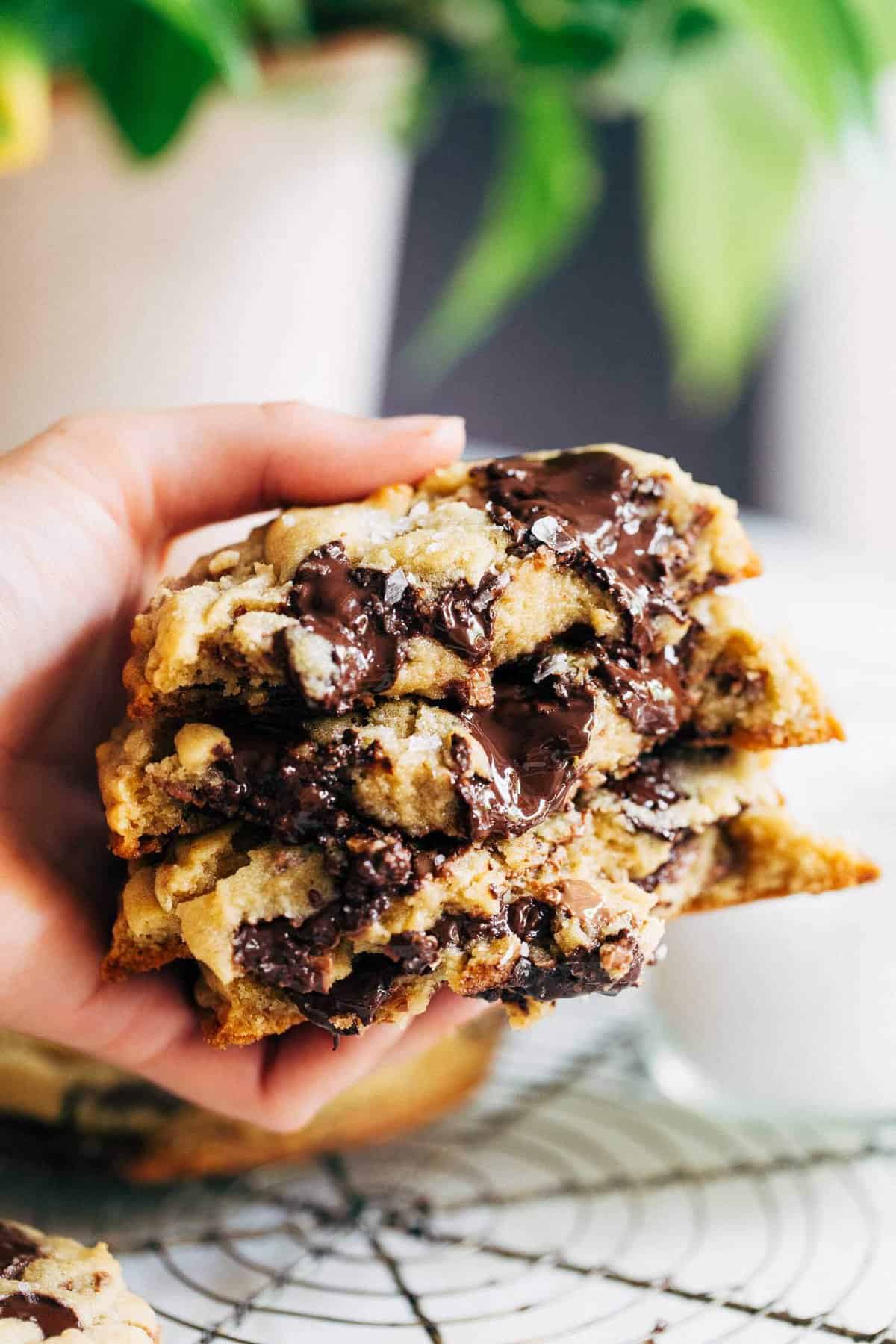 Bakery Chocolate Chip Cookies (2)
