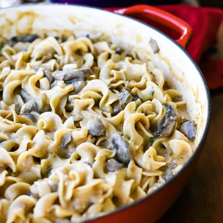 Creamy_mushroom_stroganoff_9-1024x1536.jpg