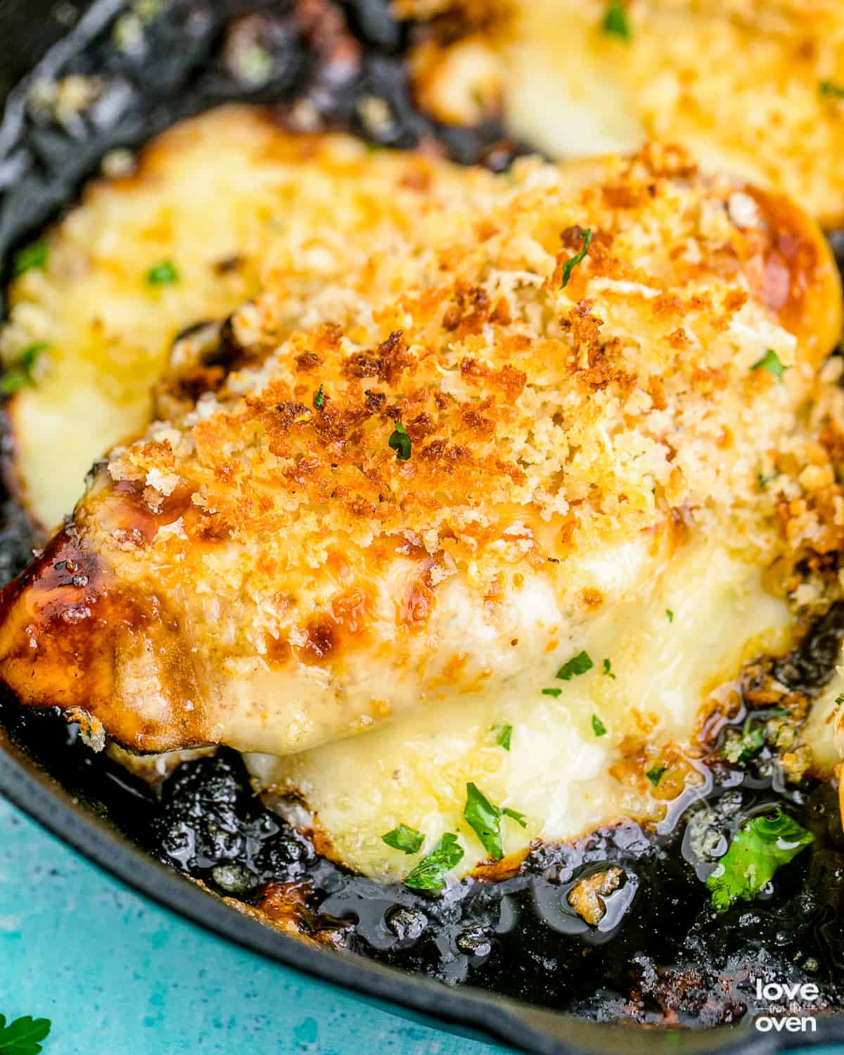 Longhorn Parmesan Crusted Chicken (1)