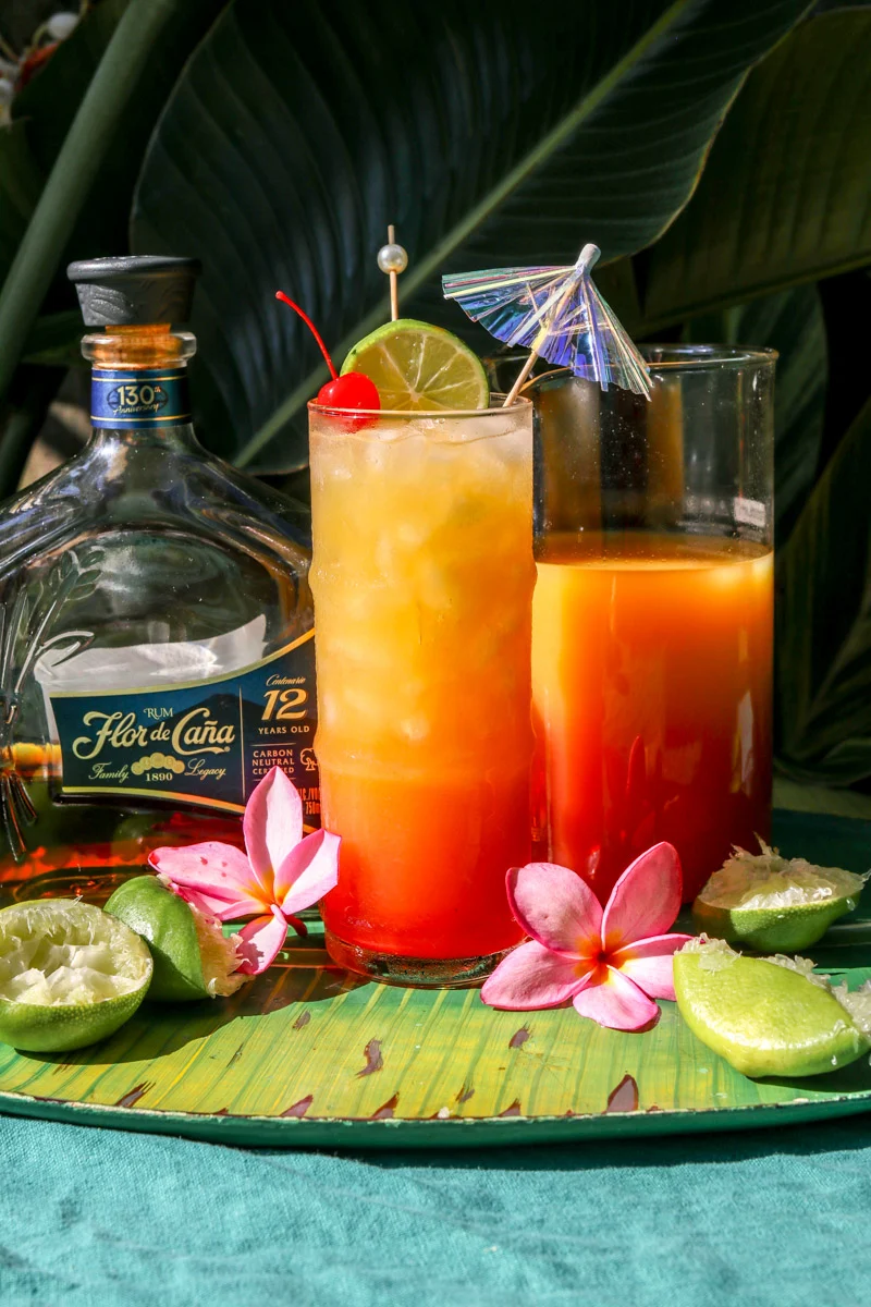 Pineapple Mango Rum Punch (2)