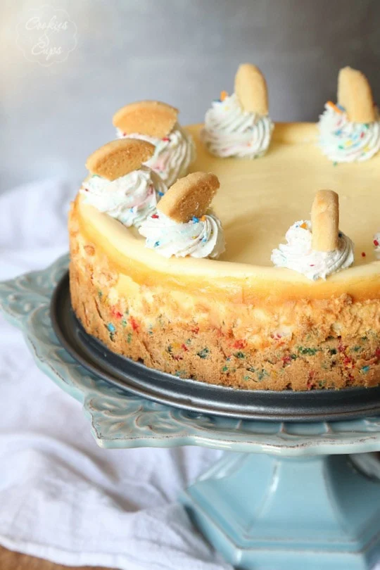 Sugar Cookie Cheesecake Recipe (2)