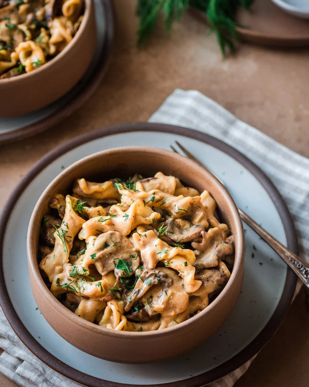 Stroganoffinbowl2of2