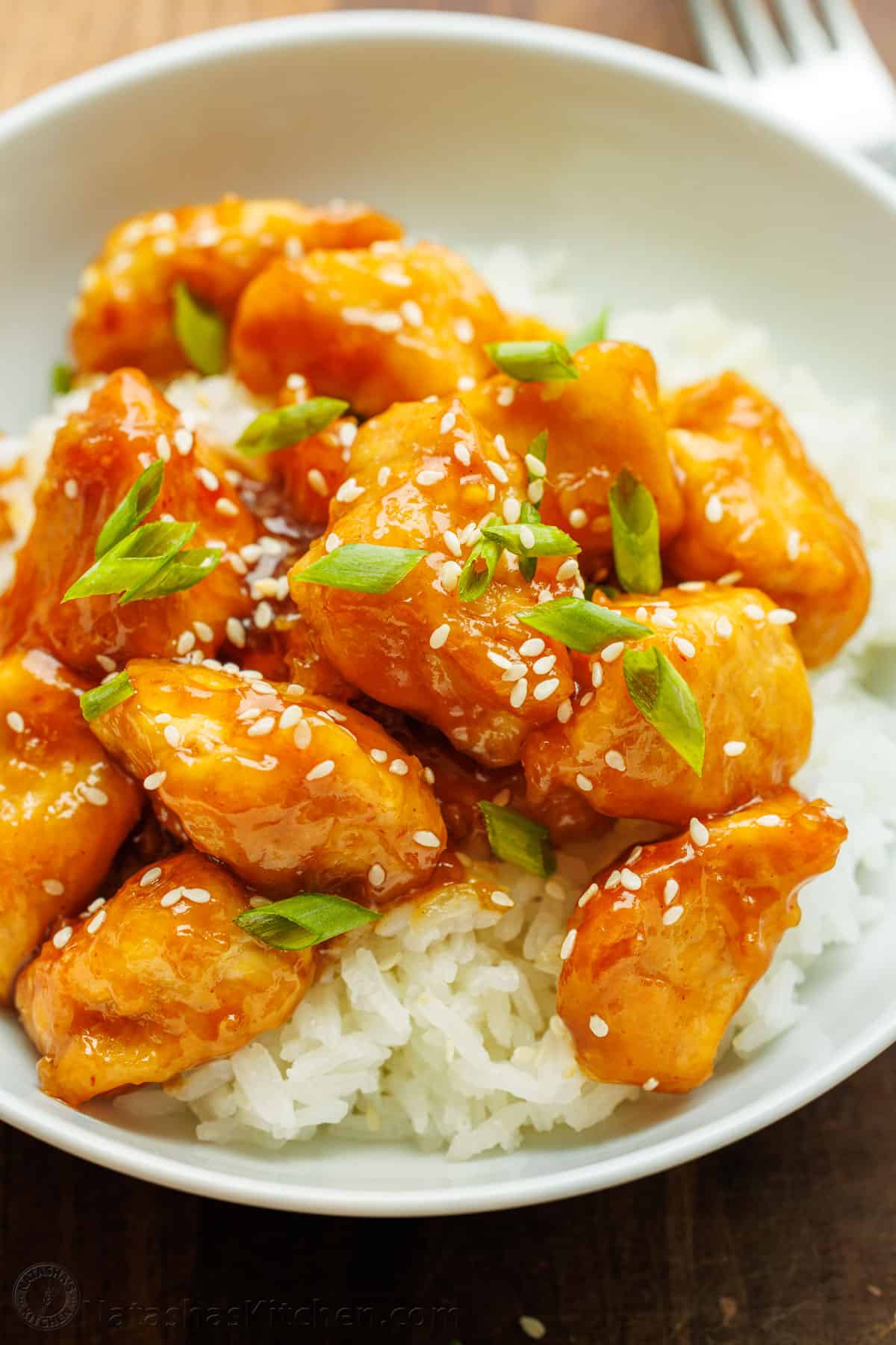 Honey Garlic Chicken (1)