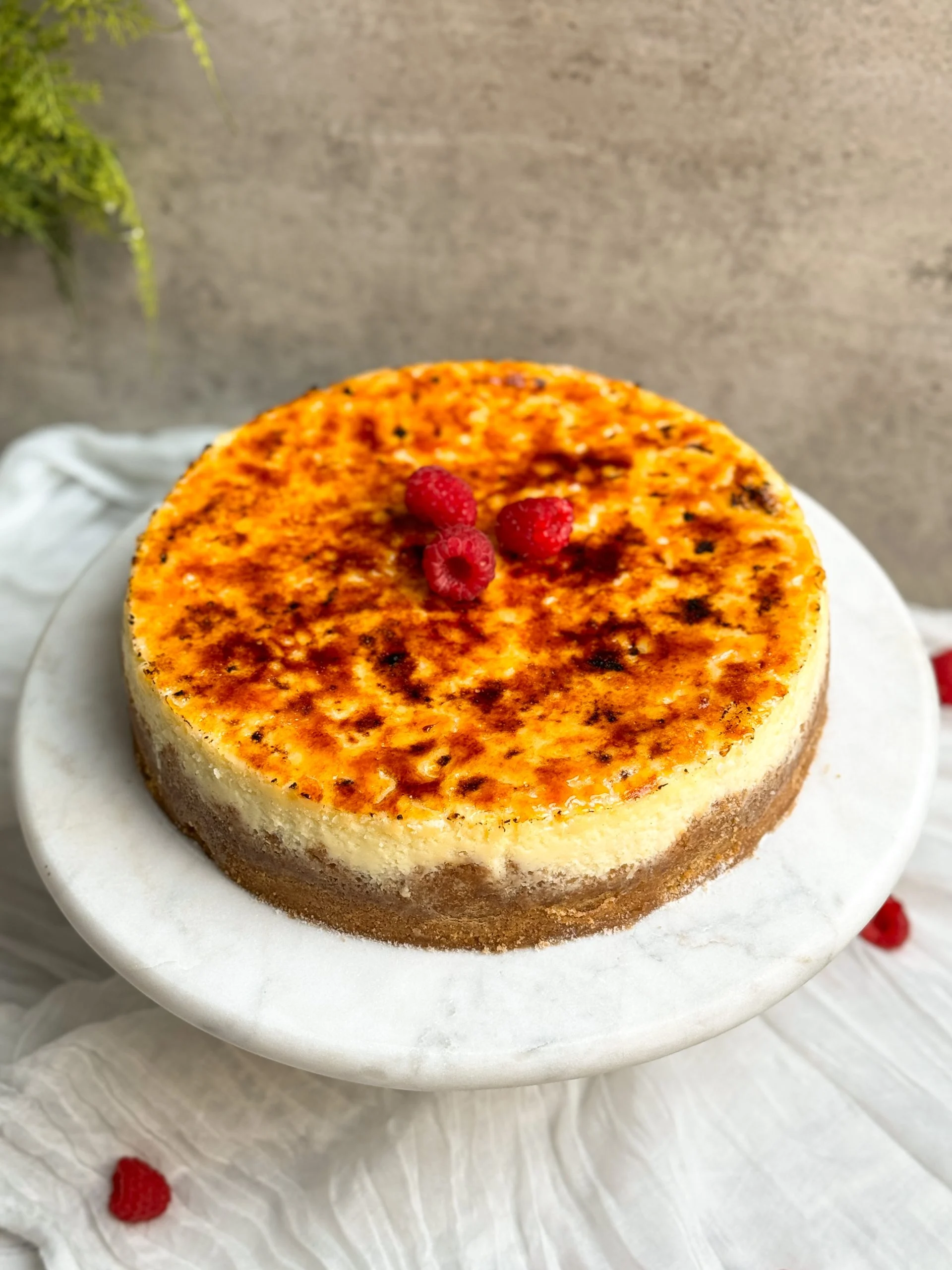 Crème Brûlée Cheesecake (1)
